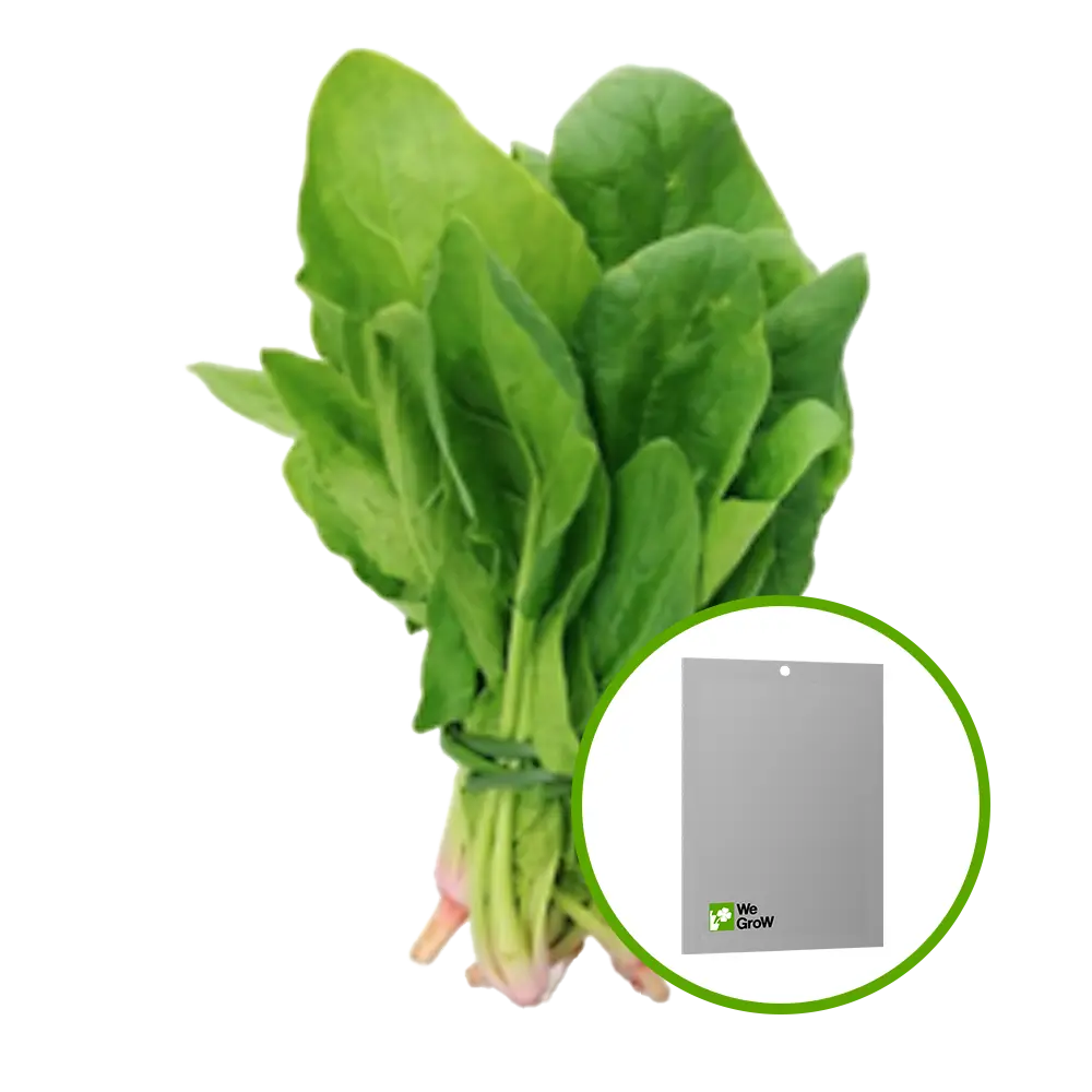 Semilla de Espinaca Virofly