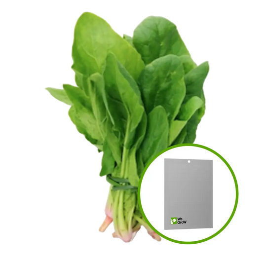 Semilla de Espinaca Virofly